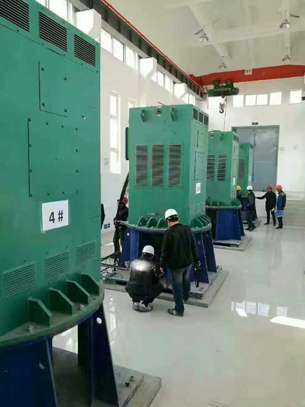 YKS450-8/6KV某污水处理厂使用我厂的立式高压电机安装现场